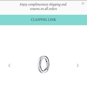 Authentic Sterling Sliver Tiffany Clasping Link